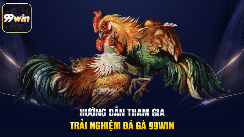 Hướng dẫn tham gia trải nghiệm đá gà 99win