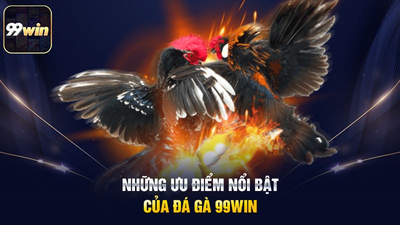 Những ưu điểm nổi bật của đá gà 99win
