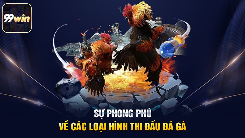 Sự phong phú về các loại hình thi đấu đá gà