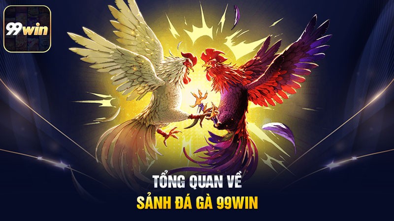 Tổng quan về sảnh đá gà 99win